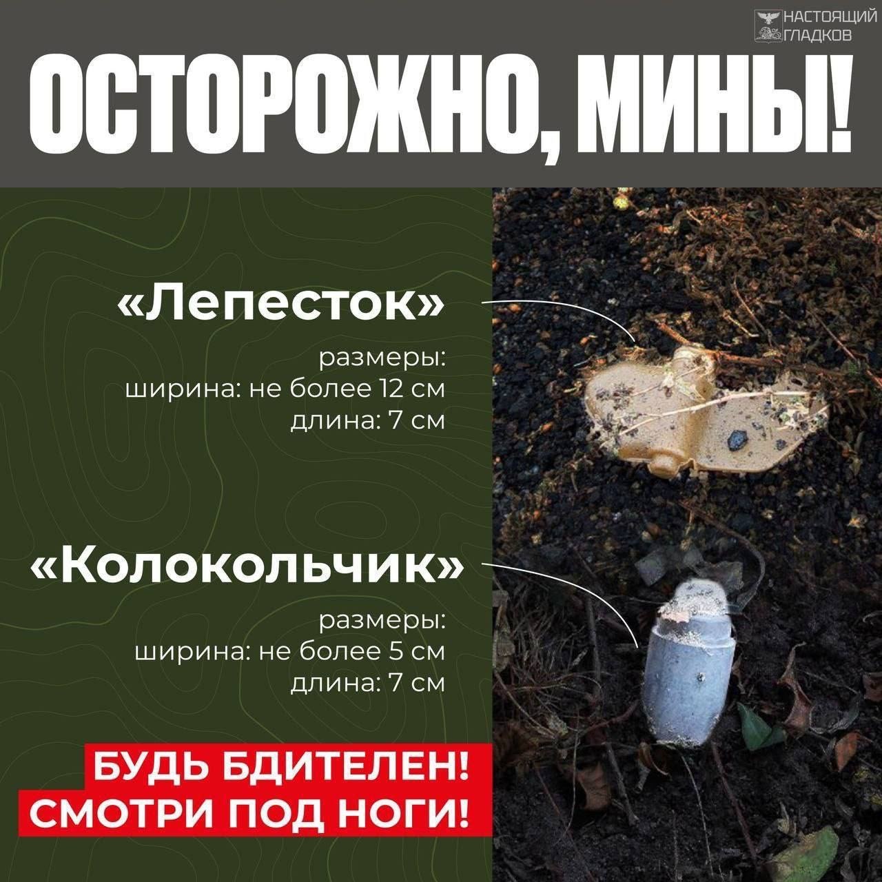 Мины Мины